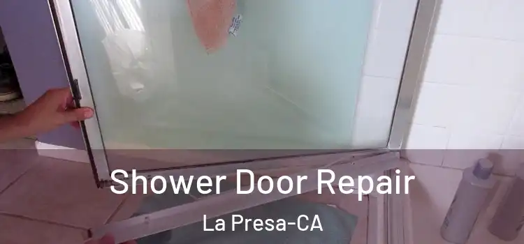 Shower Door Repair La Presa-CA